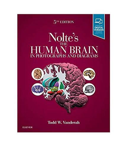 Nolte's The Human Brain in Photographs and Diagrams: With STUDENT CONSULT Online Access, 5e
