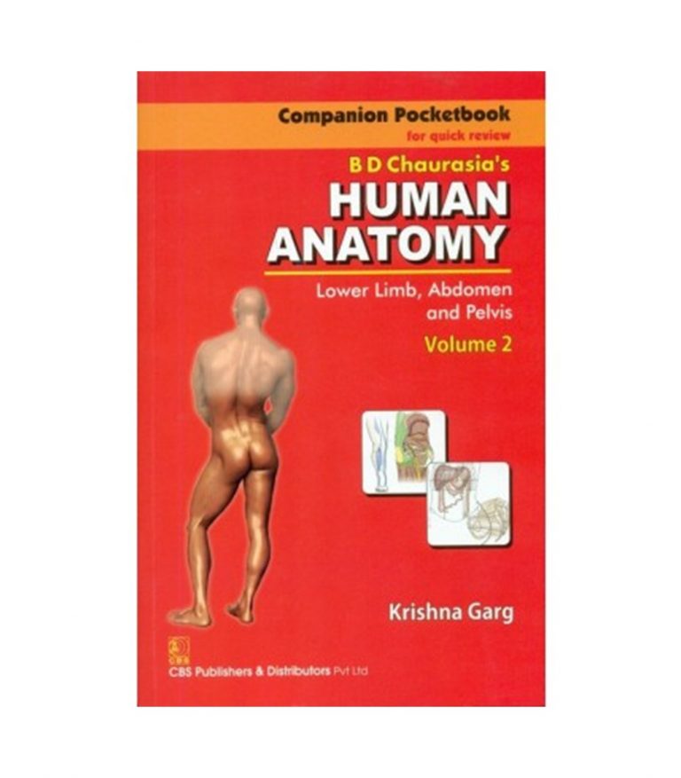 Companion Pocketbook for Quick Review B.D. Chaurasia's Human Anatomy: Lower Limb, Abdomen & Pelvis , Vol. 2