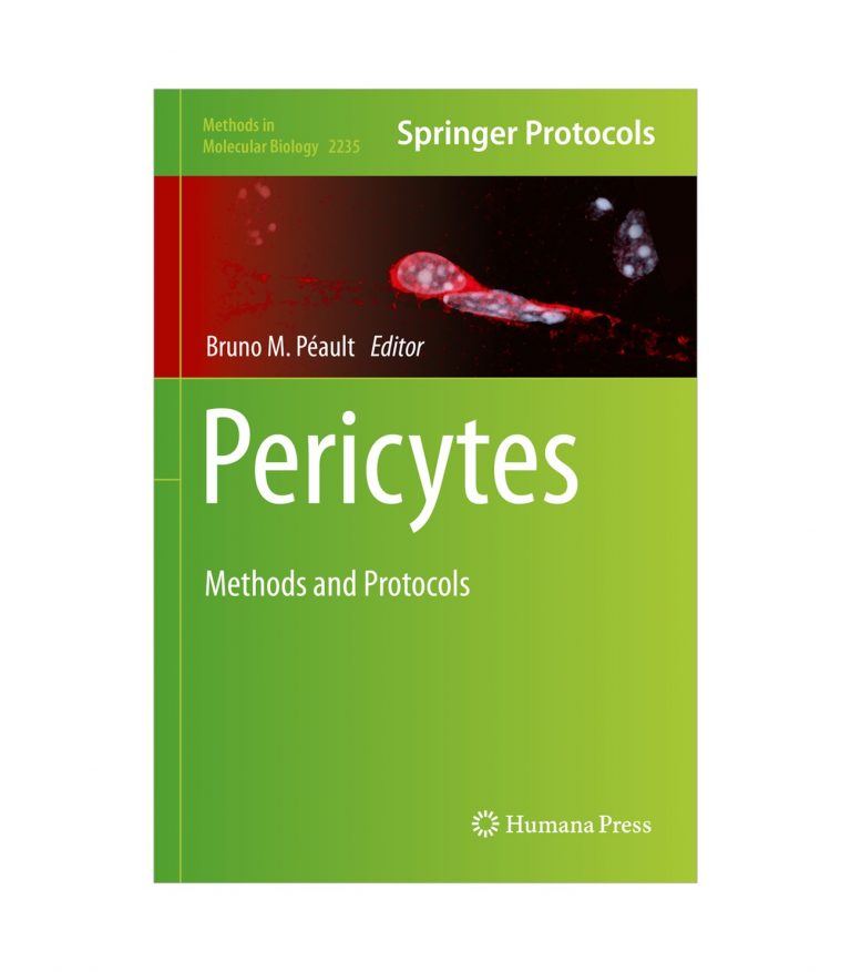 Pericytes