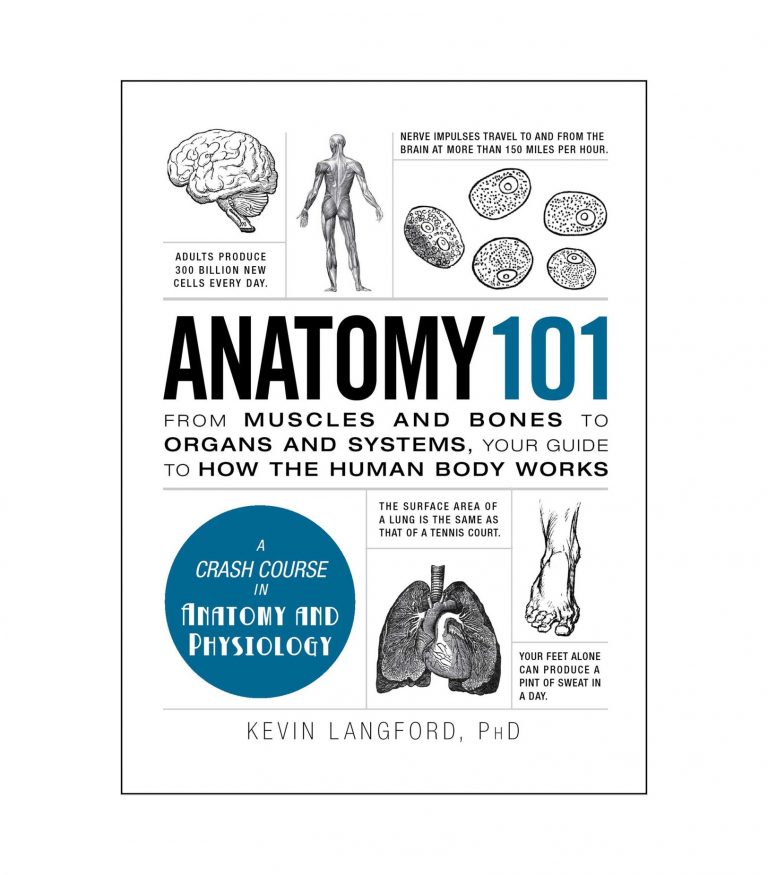 Anatomy 101: From Muscles and Bones to Organs and Systems, Your Guide to How the Human Body Works (Adams 101)