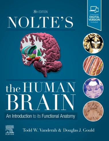 Nolte's The Human Brain: An Introduction to its Functional Anatomy, 8e