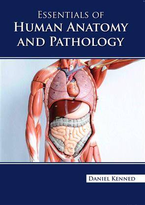 Essentials Of Human Anatomy And Pathology (HB)